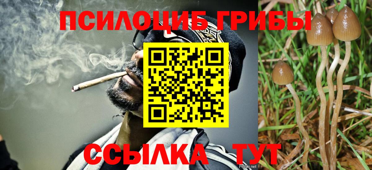 Галлюциногенные грибы Psilocybine cubensis  Галлюциногенные грибы ЛСД  Вход с VPN  Черногорск 
