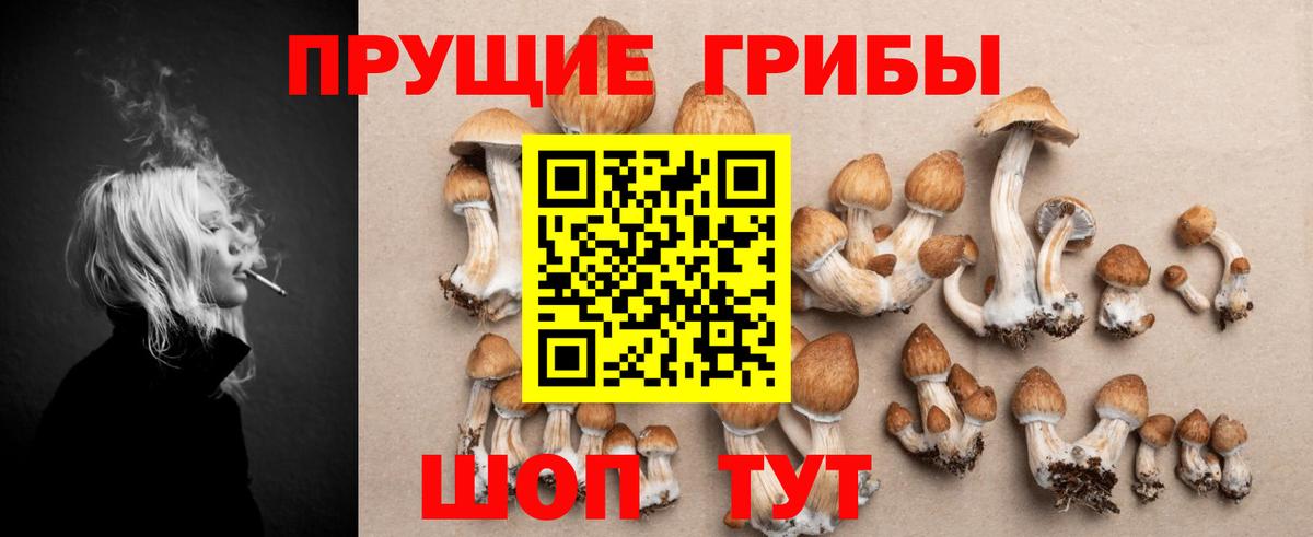 Псилоцибиновые грибы прущие грибы Черногорск